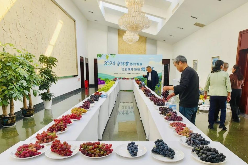 1728889026153699.png image.png